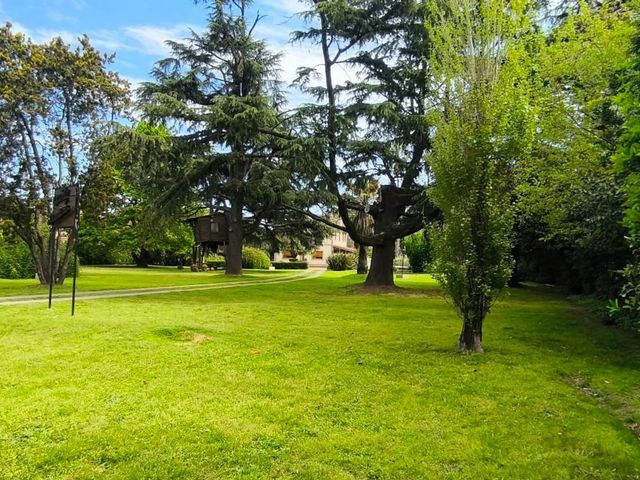 place photo 47