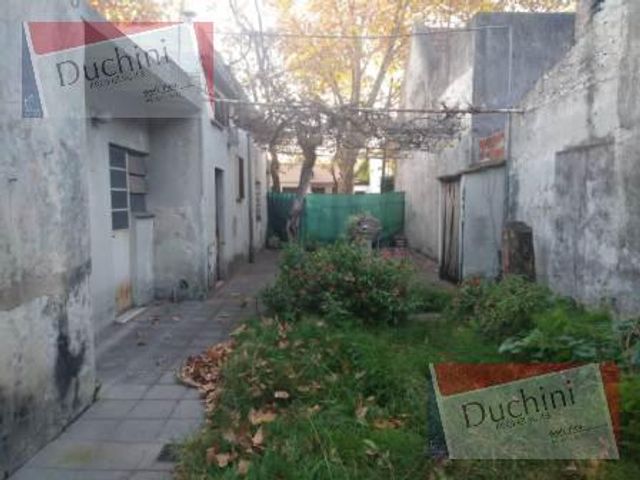 place photo 13
