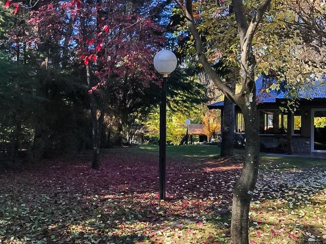 place photo 41