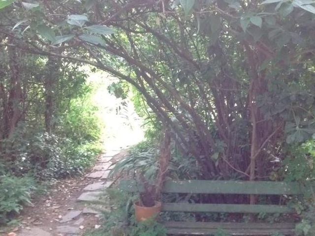place photo 26