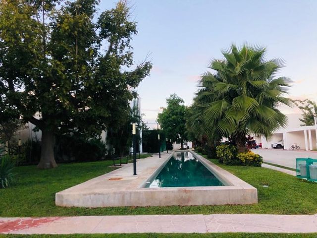 place photo 34