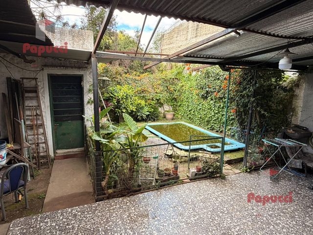 place photo 20