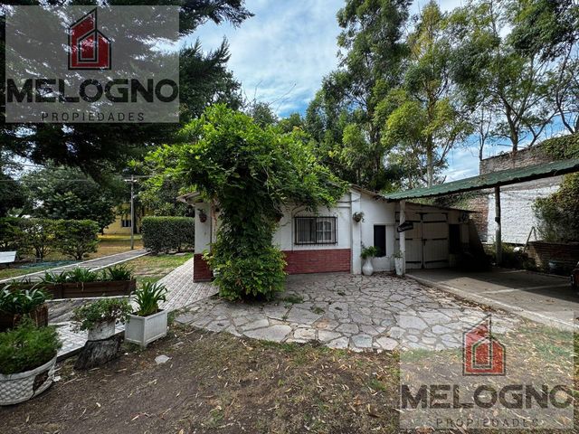 place photo 65