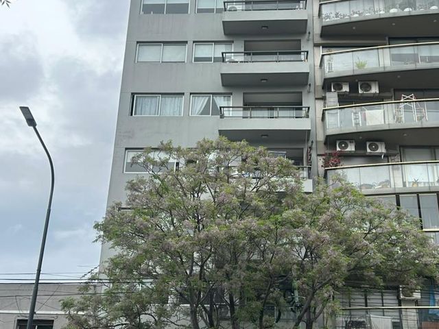 place photo 54