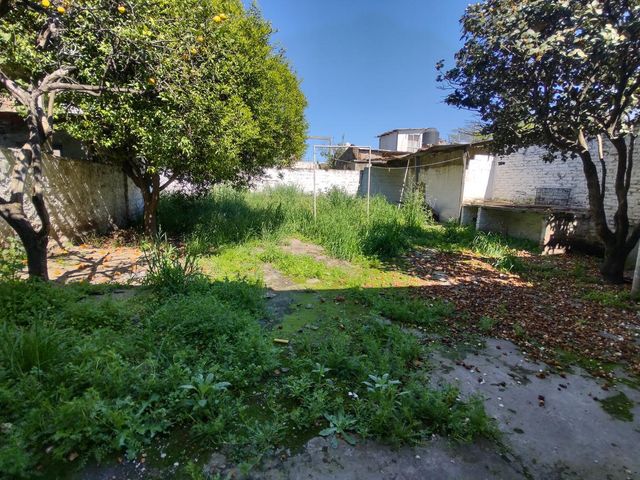 place photo 11