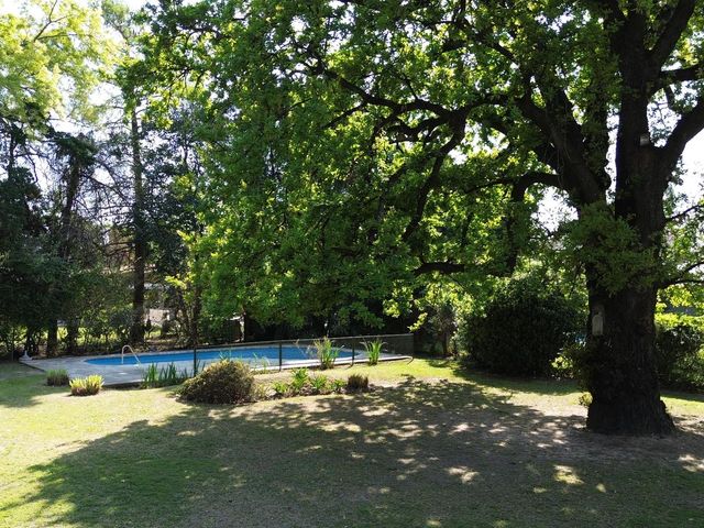 place photo 34