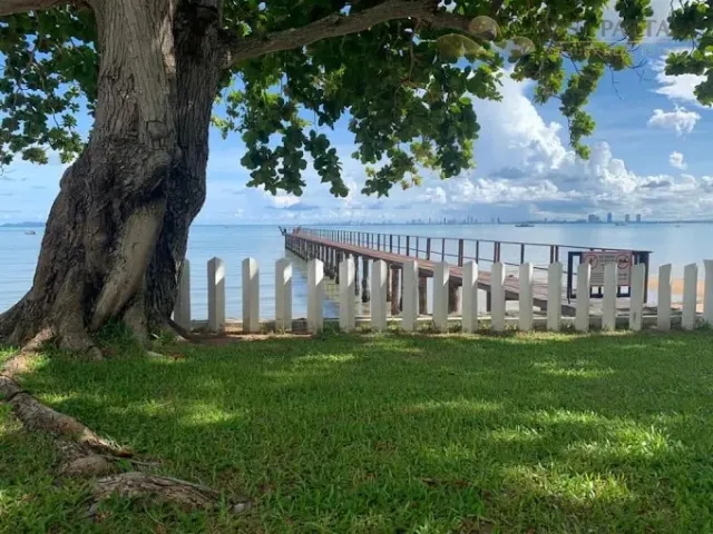 place photo 15