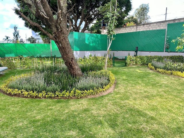 place photo 57
