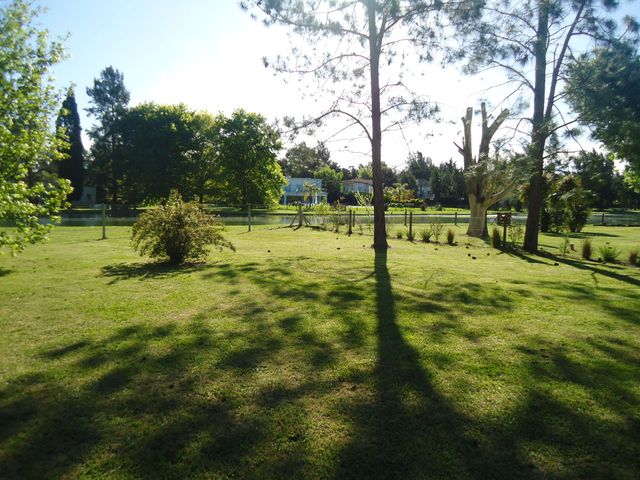 place photo 35