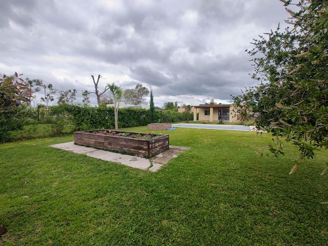 place photo 42