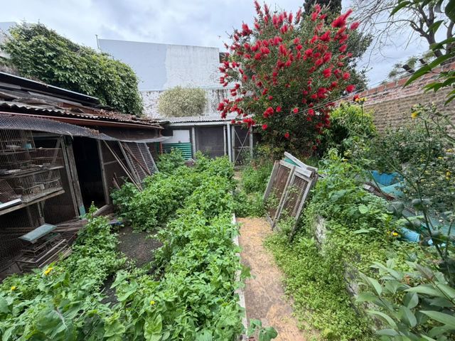 place photo 16