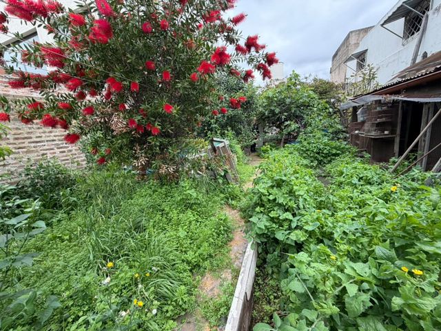 place photo 15