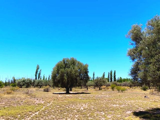 place photo 39