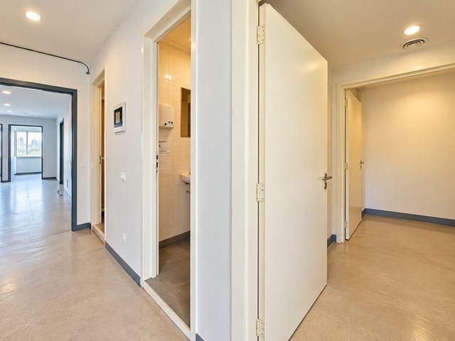place photo 44