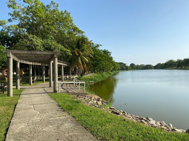 place photo 26
