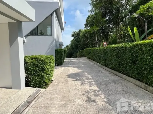 place photo 30