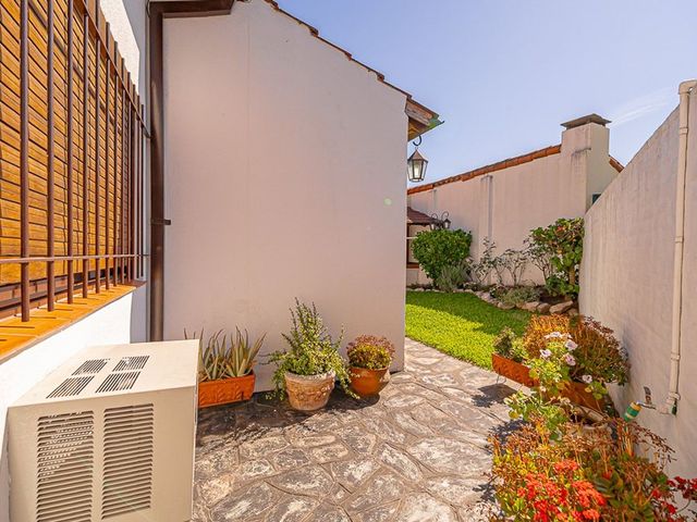 place photo 74