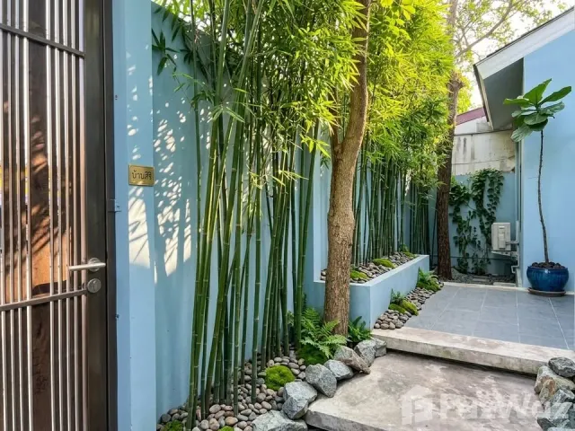 place photo 59