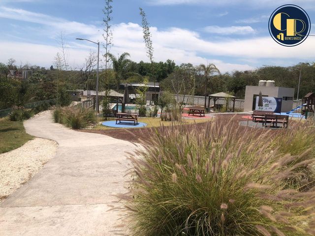 place photo 29