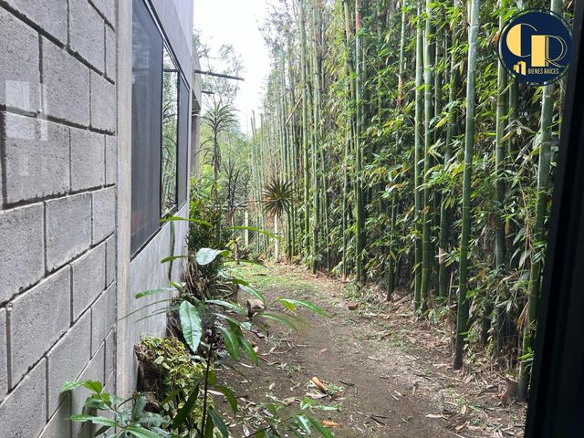place photo 48