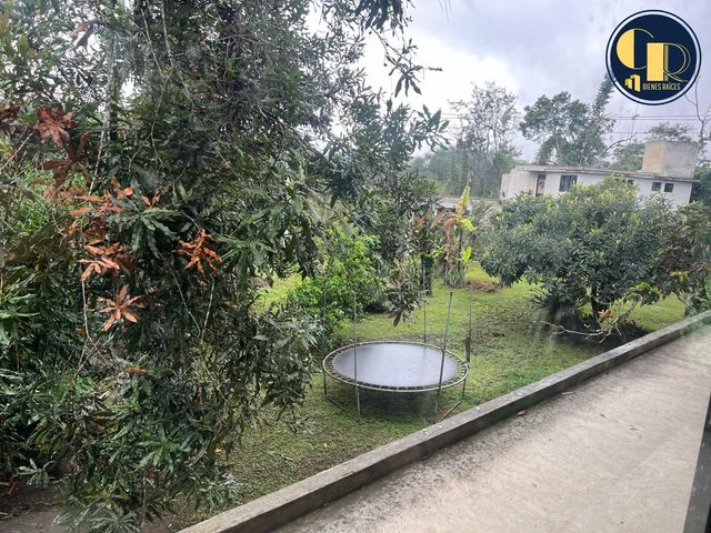 place photo 39