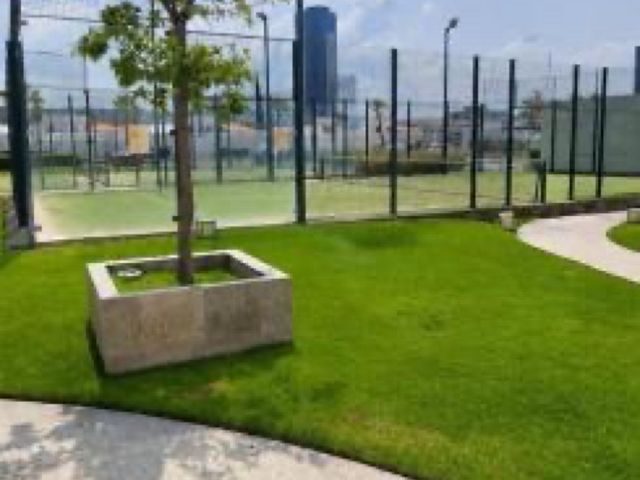 place photo 21