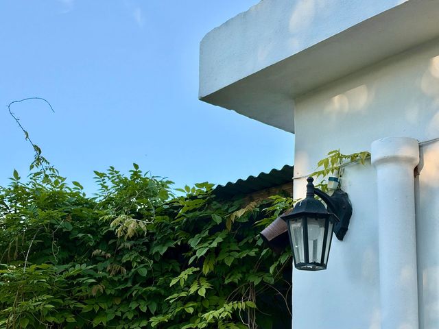place photo 43