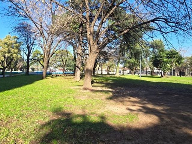 place photo 15