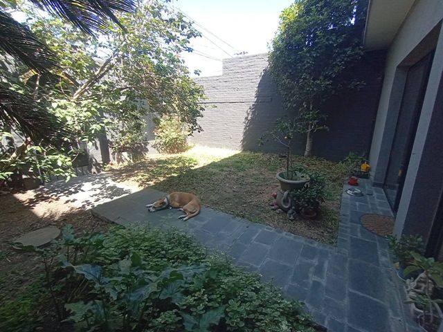 place photo 43