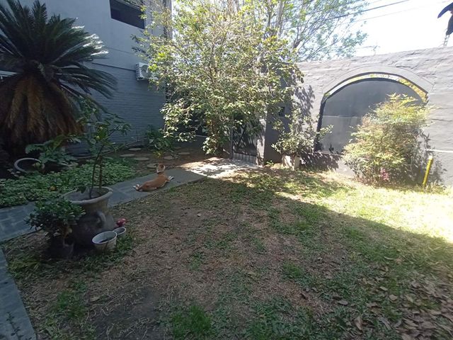 place photo 42