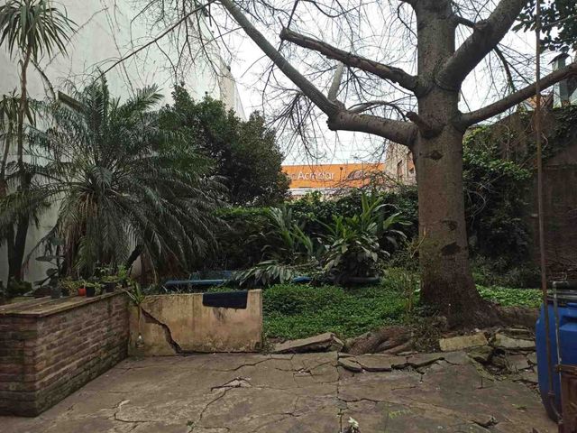 place photo 17
