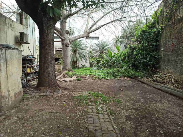 place photo 19
