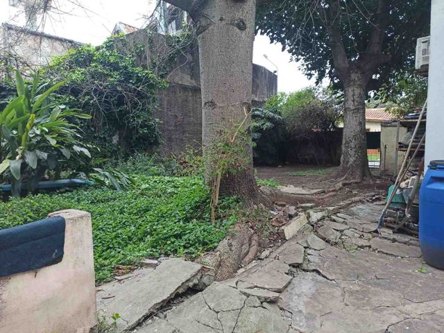 place photo 18