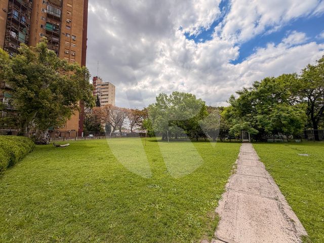place photo 41
