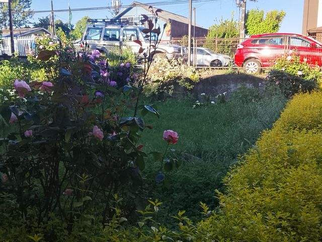 place photo 10
