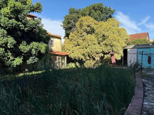 place photo 40