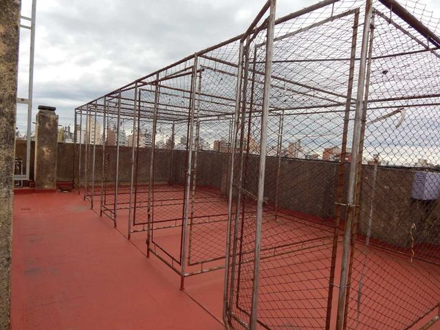 place photo 27