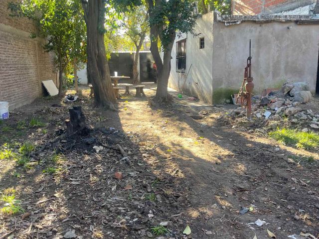 place photo 16