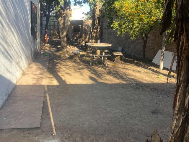 place photo 18