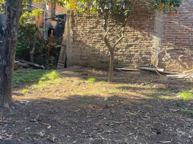 place photo 14