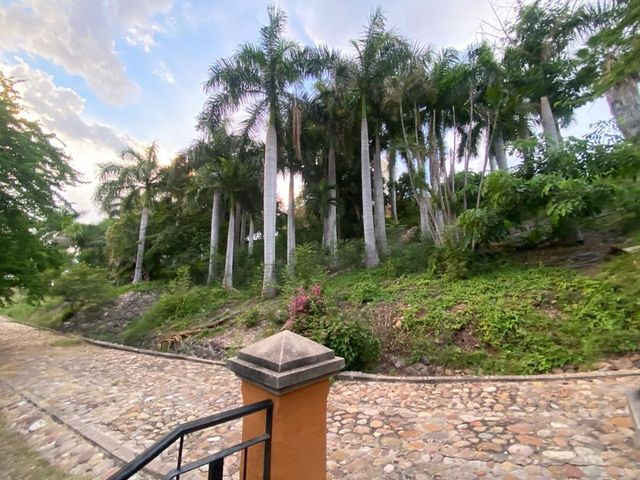 place photo 30