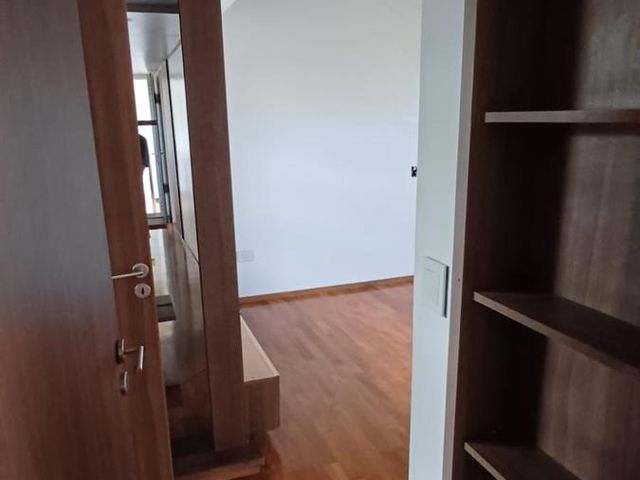 place photo 58