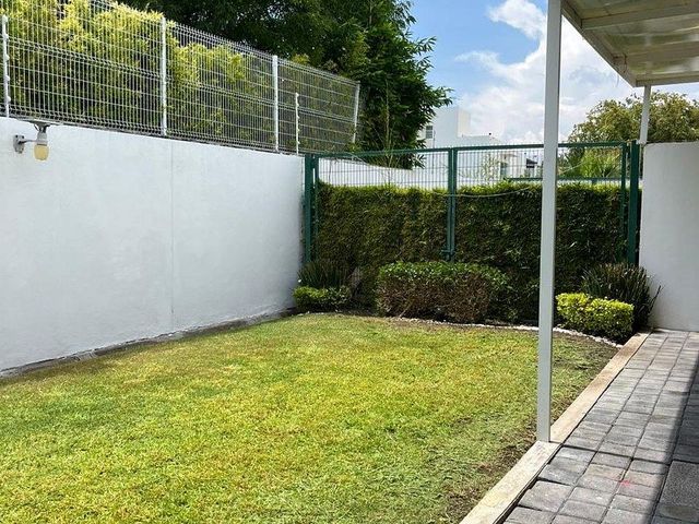 place photo 26