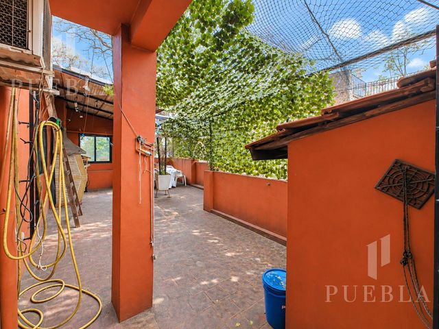 place photo 35
