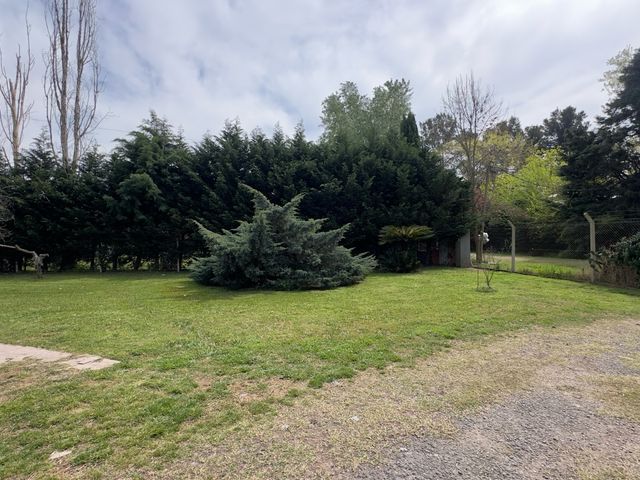 place photo 38