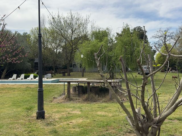 place photo 31