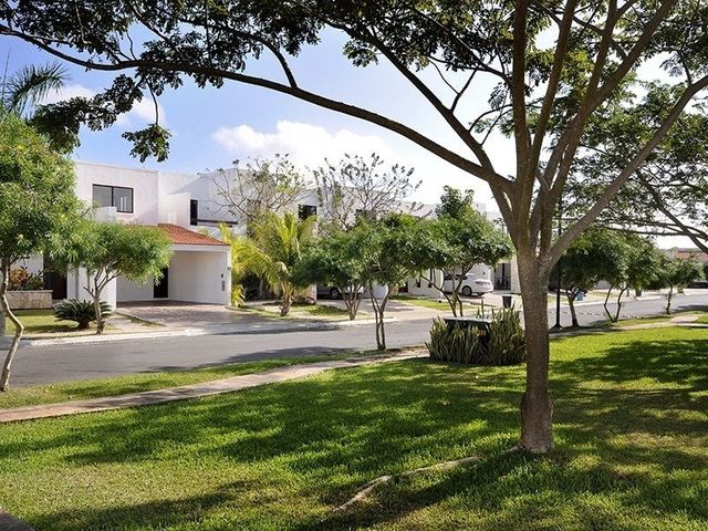 place photo 46