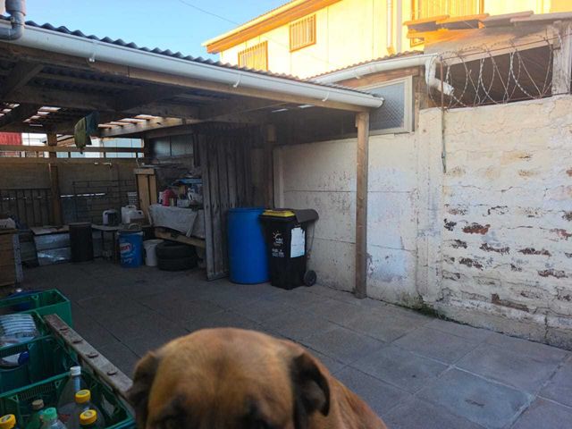 place photo 18
