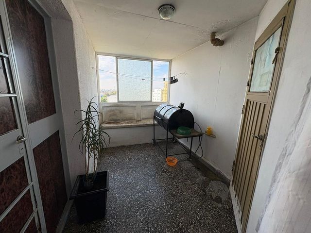 place photo 40