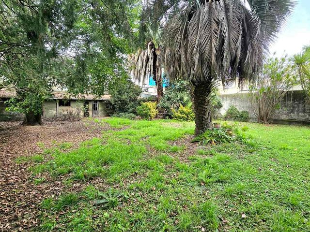 place photo 34